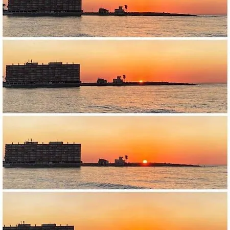 Mona Baltico * Торевьиа